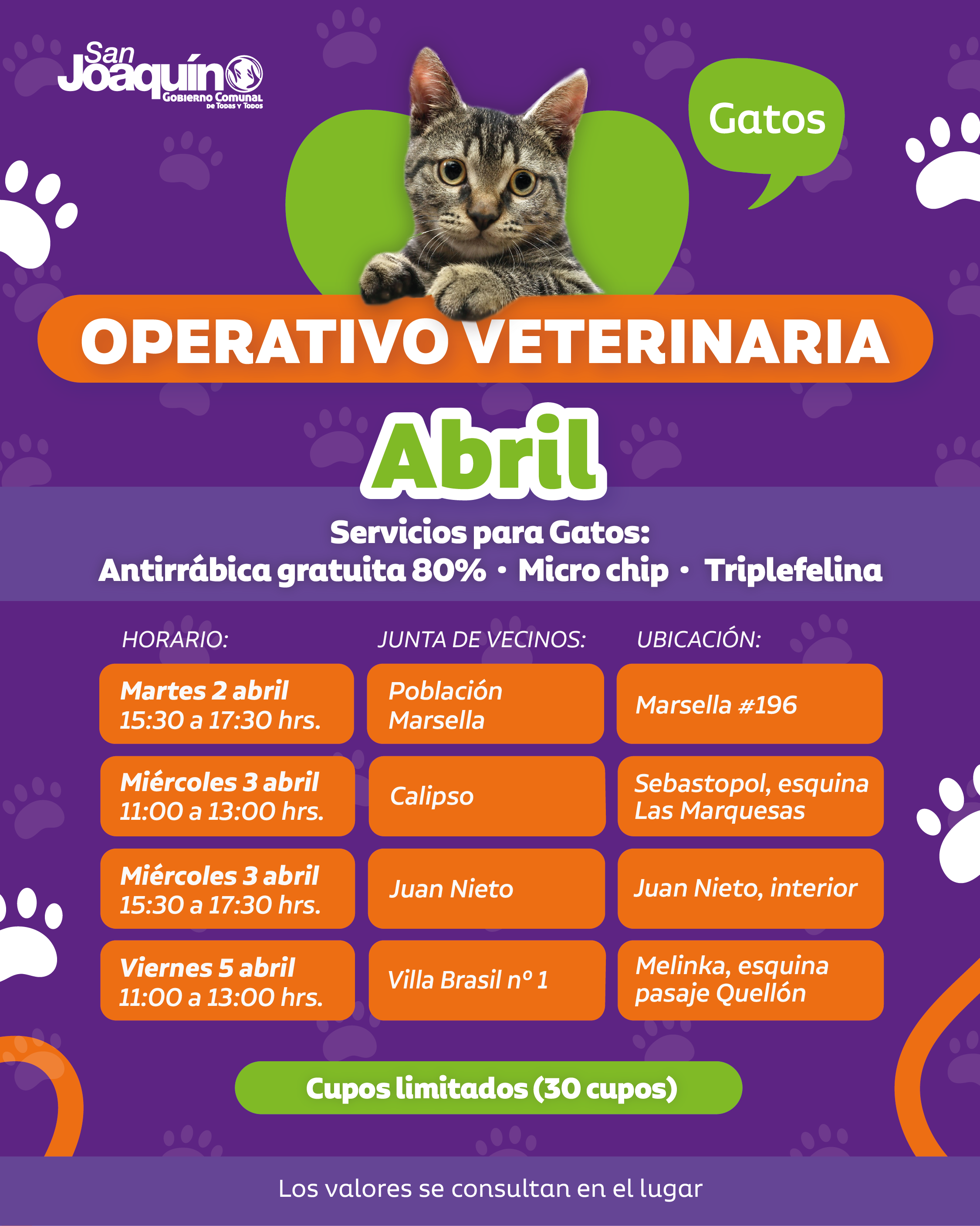 veterinaria_Mesa de trabajo 1