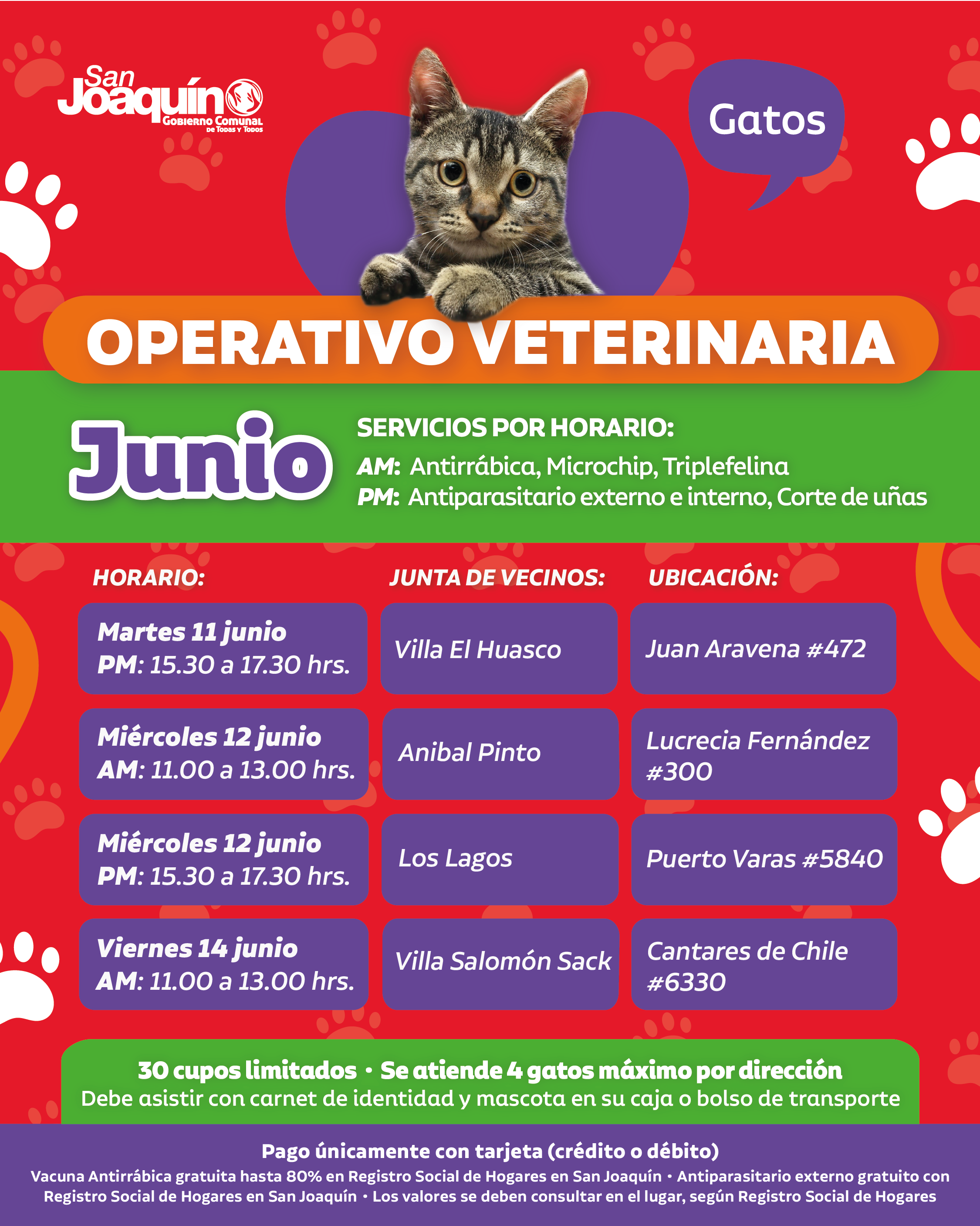 veterinaria-JUNIO-semana2_Mesa de trabajo 1
