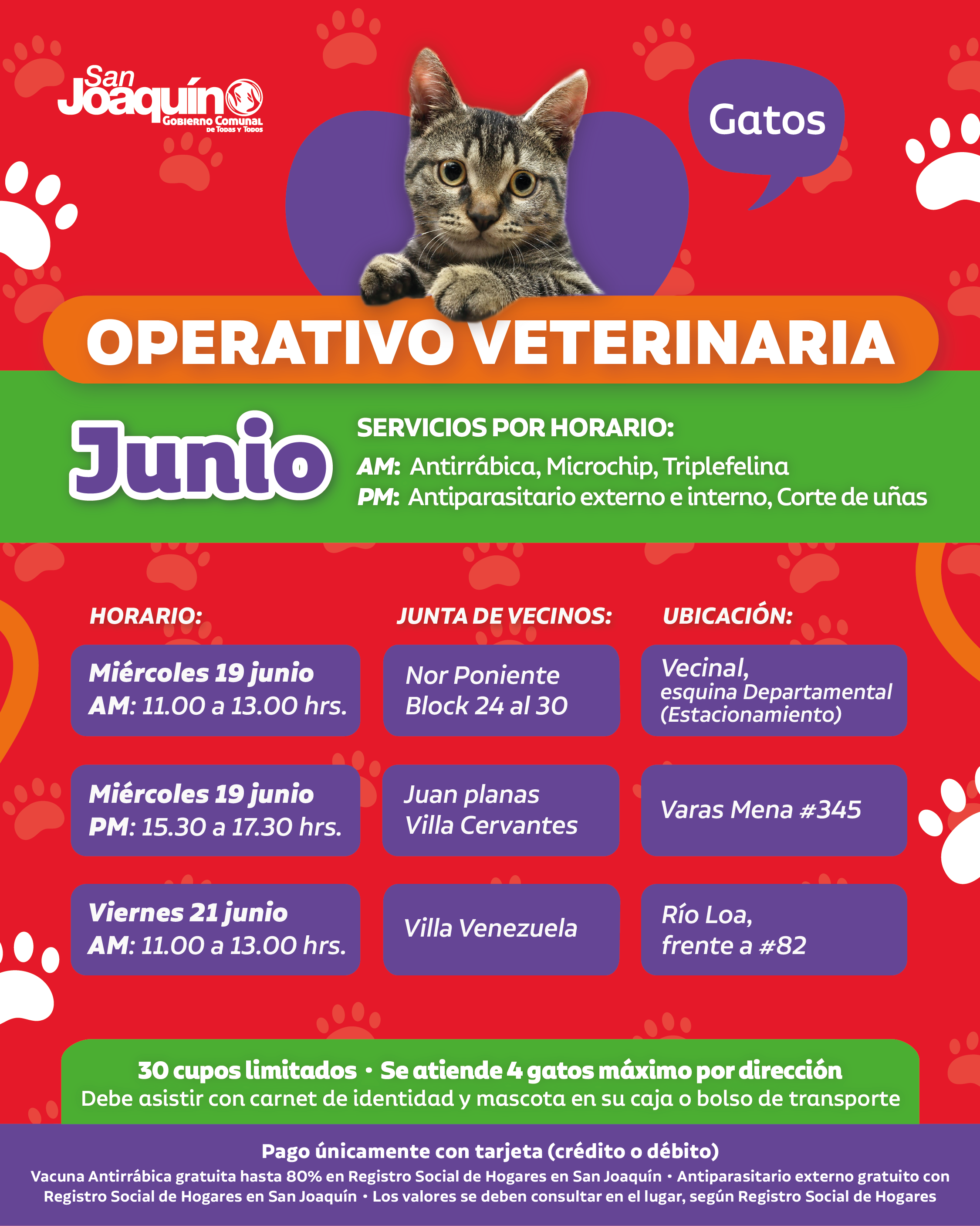 veterinaria-JUNIO-semana3_Mesa de trabajo 1