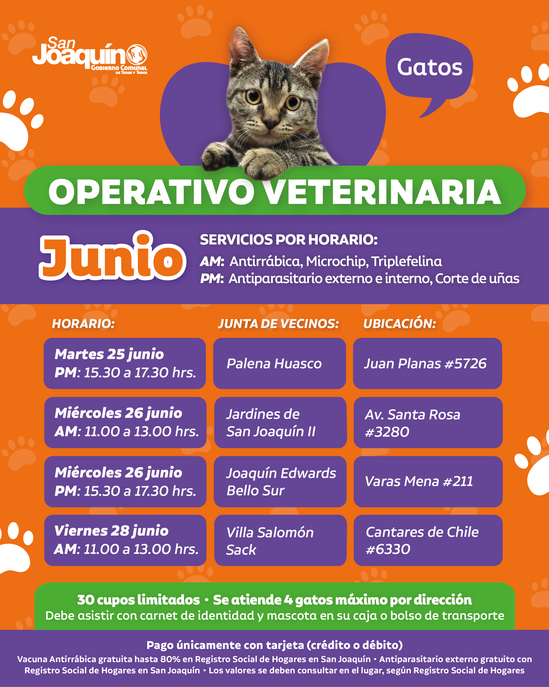 veterinaria-JUNIO-semana4_Mesa de trabajo 1